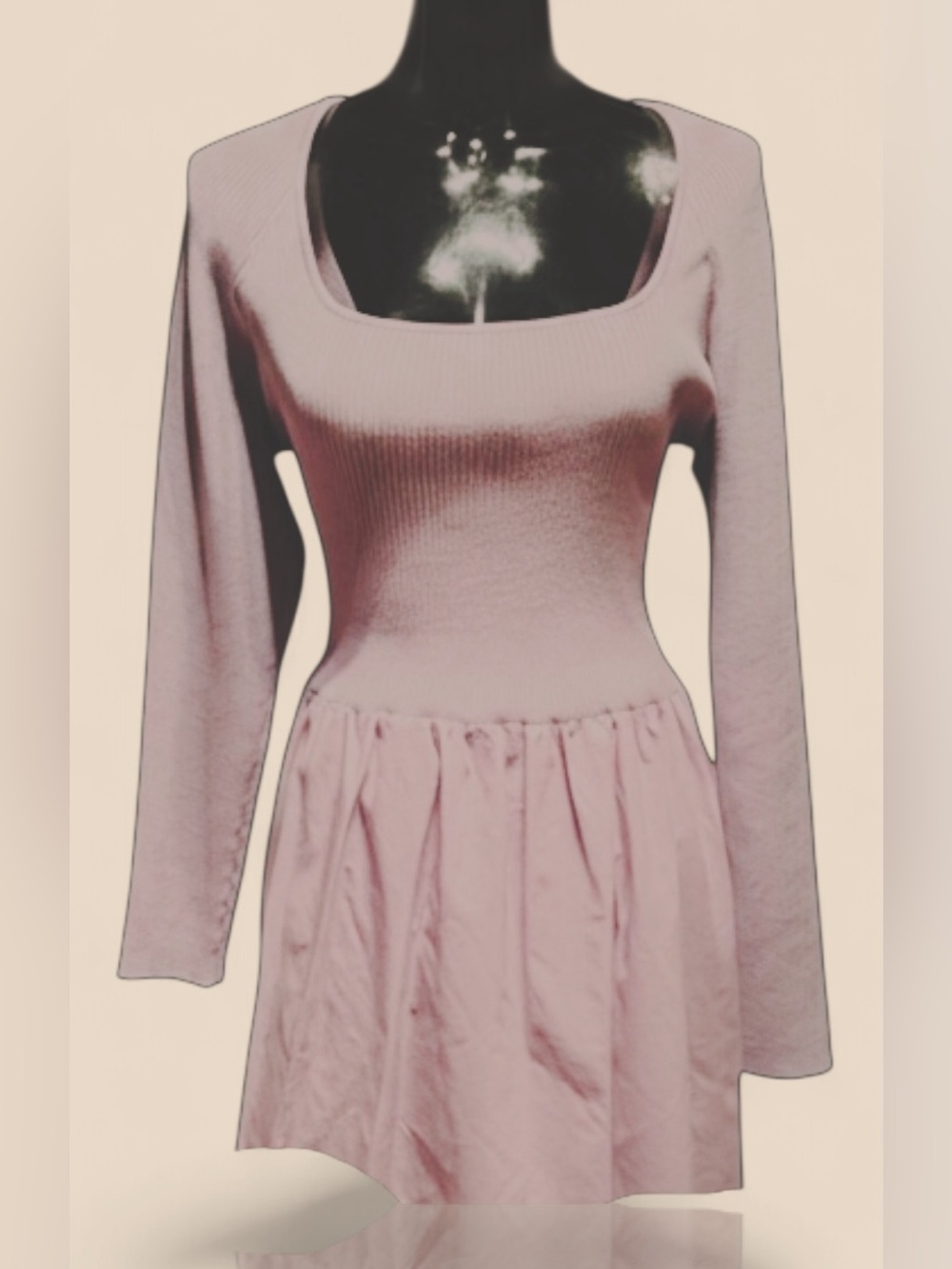 Express Long Sleeve Scoop Neck Dress in Beautiful Blush Color